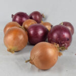 Onion