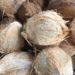 Semi Husked Coconut