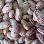 Light Speckled Kidney Beans